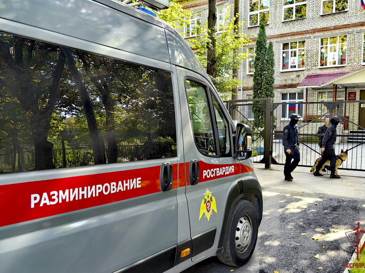 Росгвардия проверила школы Тулы перед началом учебного года