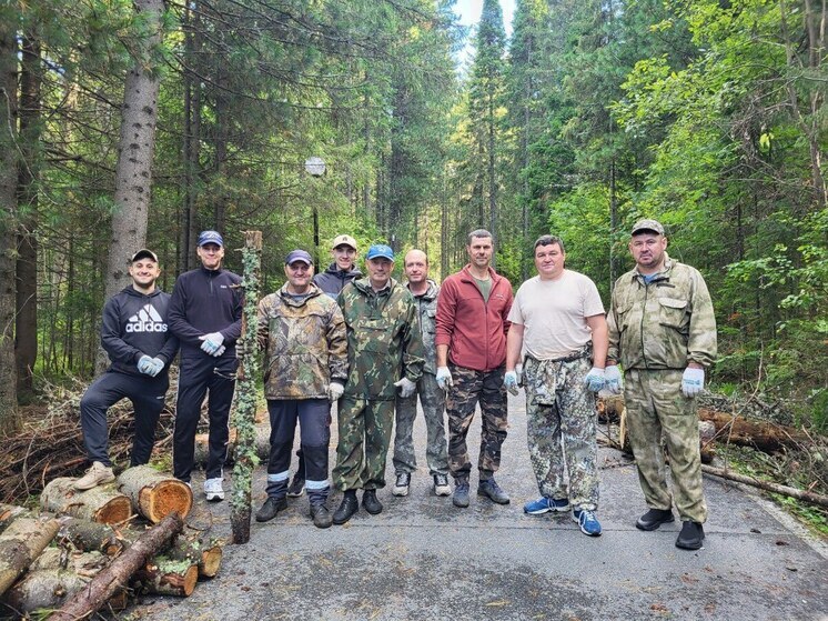 «Самаровский чугас» в Югре стал безопаснее: в парке убрали сухостой и аварийные деревья