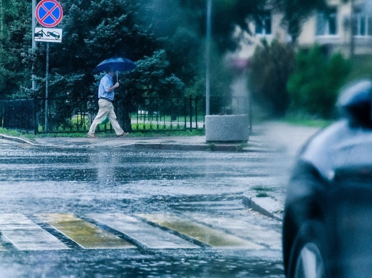 Волгоградцам 2 сентября обещают кратковременные дожди и до +35℃