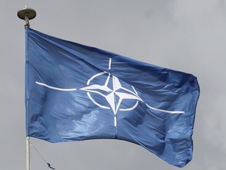 Сенатор Ли: США должны выйти из НАТО ради ухода от исламской войны в ЕС