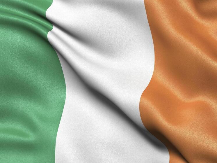 В Ирландии заверили Зеленского в готовности поддержать «миротворцев» на Украине