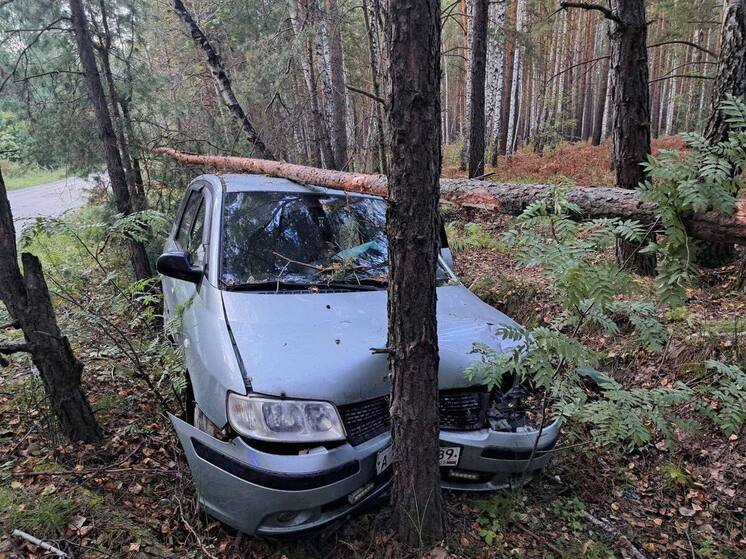 Машина с ямальскими номерами влетела в дерево под Тюменью: водитель погиб