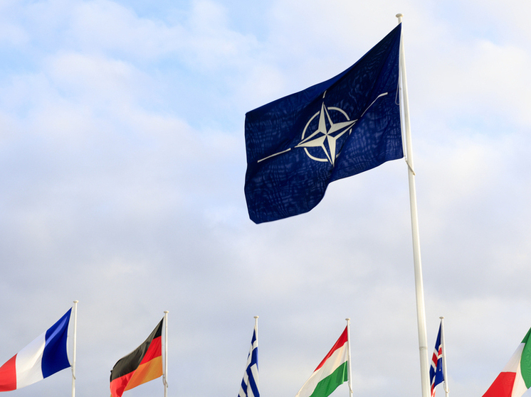 Полковник Макгрегор: завершение СВО приведет к краху НАТО и ЕС