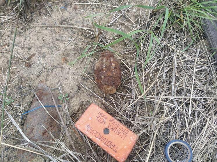 В Улан-Удэ на участке частного жилого дома нашли боевую гранату Ф-1