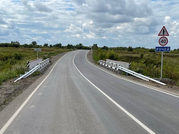 В Алтайском крае за 305 млн рублей отремонтировали участок дороги «Алейск-Бориха»
