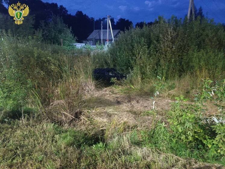 74-летний мужчина скончался за рулем на Казанском тракте в Марий Эл