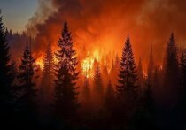 В Эвенкийском районе Красноярского края зафиксированы три крупных лесных пожара общей площадью почти 500 гектаров