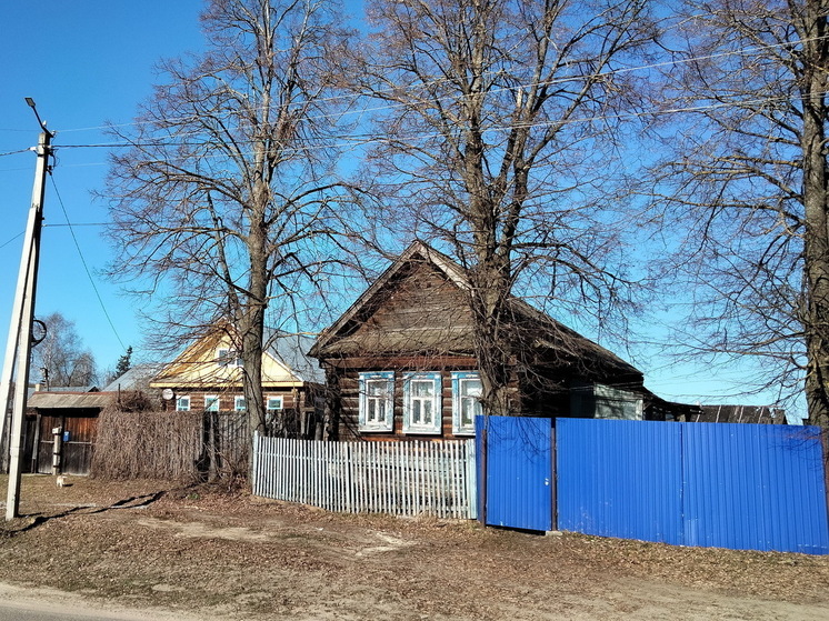 Никогда не сажайте в саду и возле дома эти 4 дерева: опасно и глупо — Мичурин предупреждал еще 90 лет назад