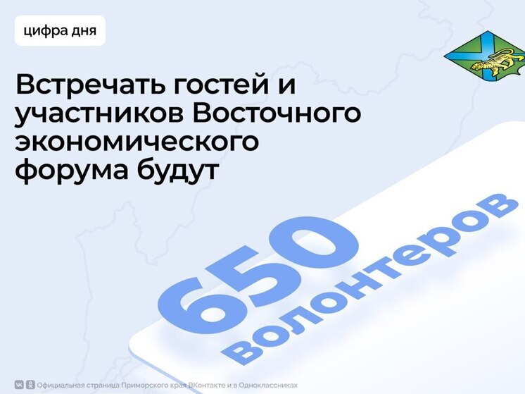 В Приморье завершилась серия тренингов для волонтеров юбилейного ВЭФ