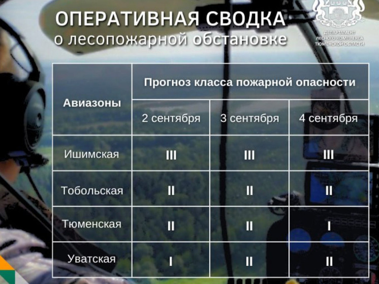 В Тюменской области сохраняется спокойная обстановка с лесными пожарами