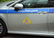 Выяснились подробности нападения на сотрудника ГИБДД в подмосковном Щелково