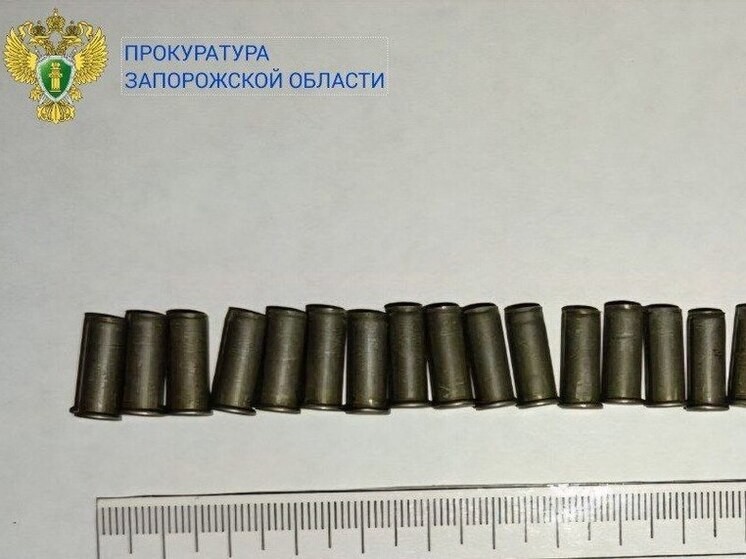 Запорожец получил условный тюремный срок за незаконное хранение боеприпасов