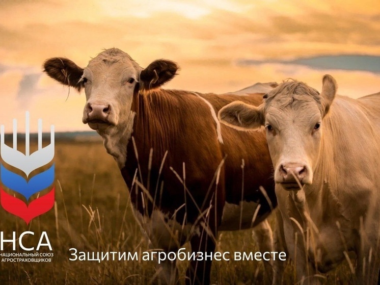 Важные изменения в страховании сельхозпредприятий