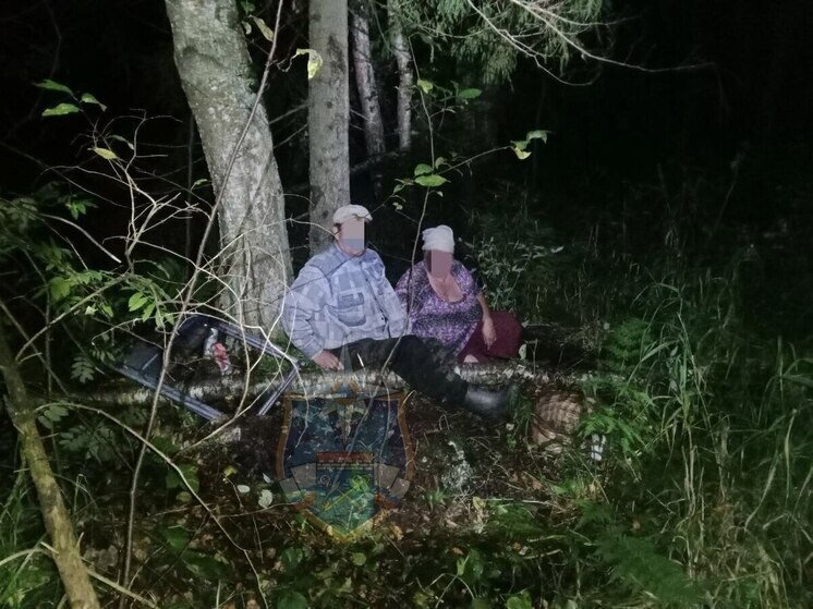 Спасатели ночью искали и нашли в лесах Ленобласти трех «потеряшек»