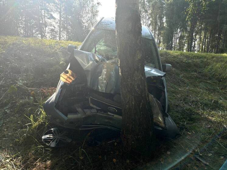Под Брянском иномарка врезалась в дерево: три человека госпитализированы
