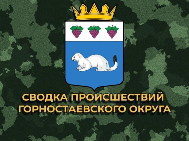 За сутки ВСУ нанесли 17 артиллерийских ударов по Горностаевскому округу