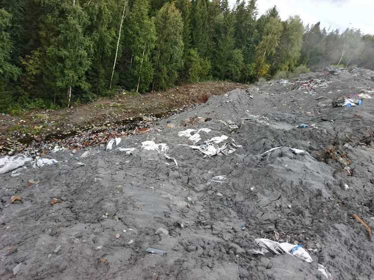 Два проблемных участка остаются на горящем мусорном полигоне под Кондопогой