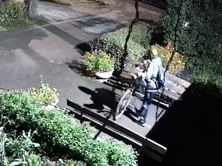 В Липецкой области пенсионера поймали на краже двух велосипедов