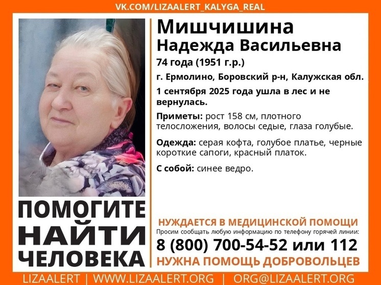 В Калужской области ищут пропавшую с синим ведром