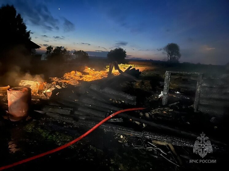 В Звениговском районе едва не сгорело частное хозяйство