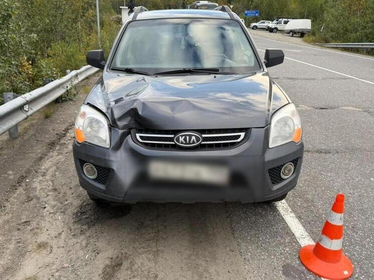 На трассе «Кировск-Коашва» автомобиль сбил пешехода, который внезапно выбежал на дорогу