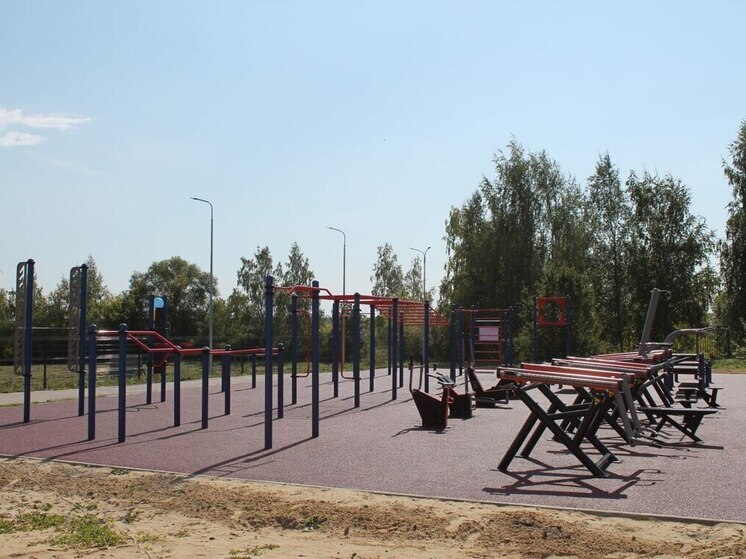 В Напольновской школе открыли спортивную площадку для всех