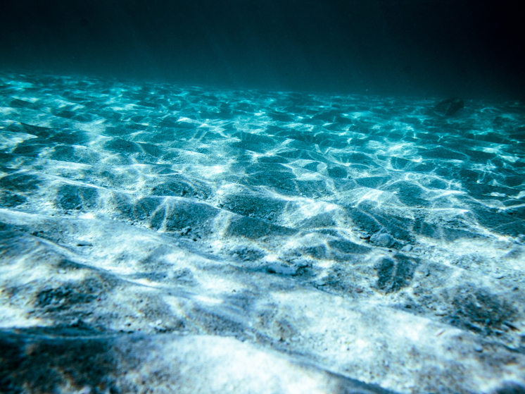 У берегов Аляски обнаружен загадочный золотой шар, удививший учёных