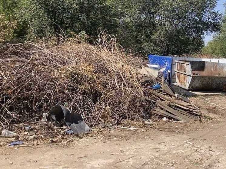 Астраханцам напомнили о новых правилах обращения с отходами и запретили выбрасывать ветки