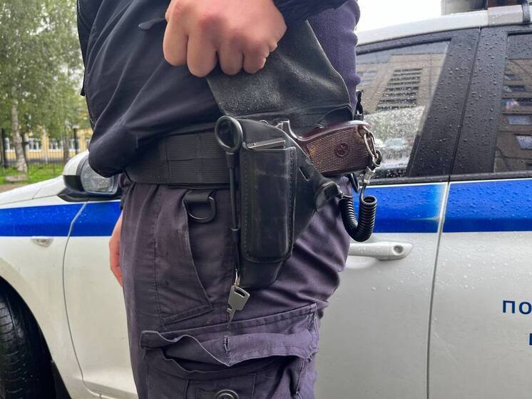 Участников масштабной аферы с сервисом доставки поймали в Петербурге и столице