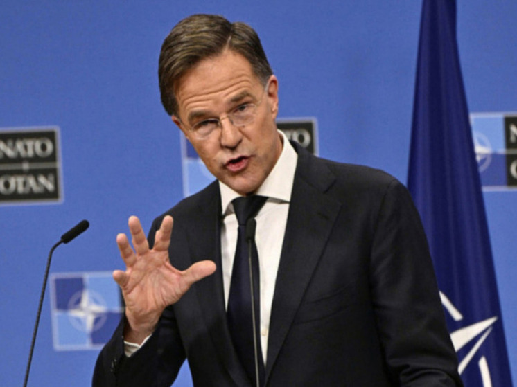 Рютте: страны НАТО закупили у США оборонительное и летальное оружие для Украины