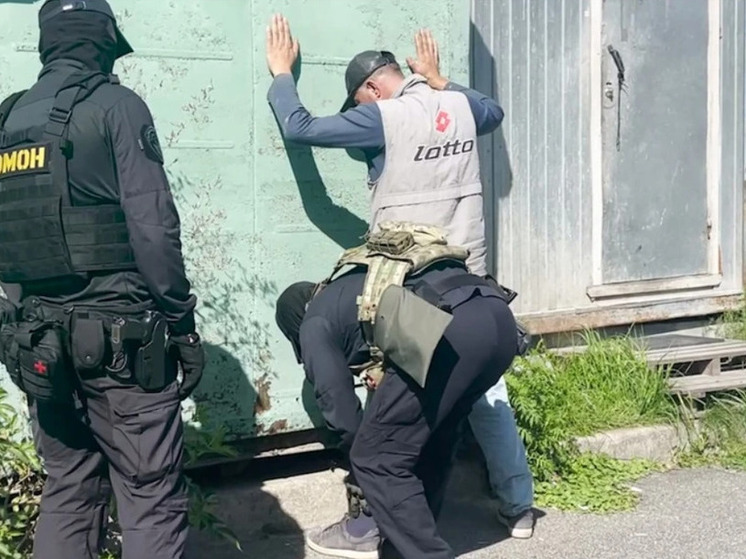  В Калининградской области задержали 126 мигрантов - нарушителей закона