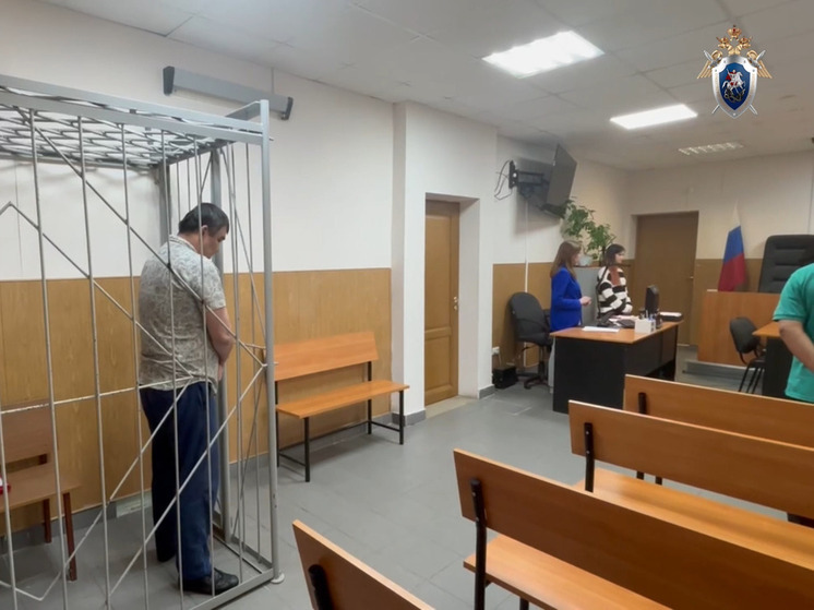 Иностранец получил 14 лет за убийство жителя Гатчины в зале игровых автоматов