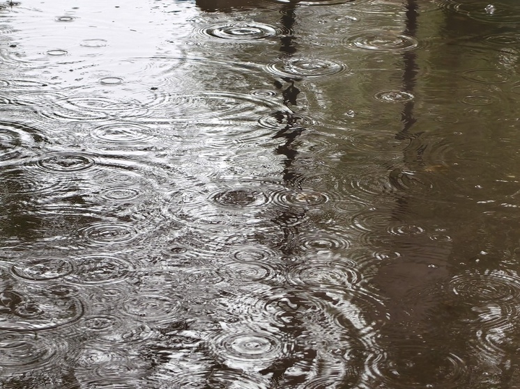Синоптики предупредили о затяжных дождях и ветреной погоде в Хакасии