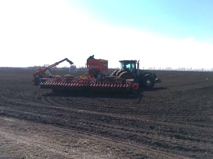 Почти 4 тысячи тонн зерна из Пензенской области отправлено на экспорт под контролем Россельхознадзора