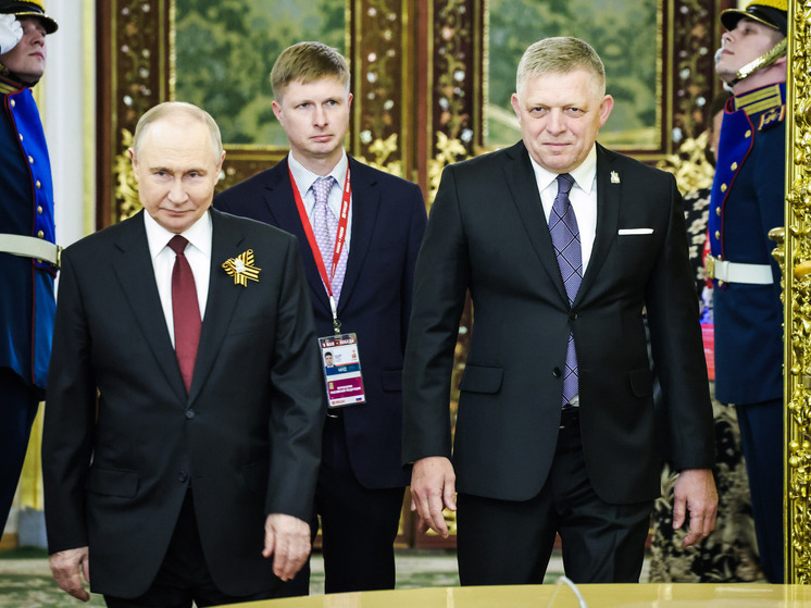 Путин предложил Фицо прекратить поставки газа и электроэнергии на Украину