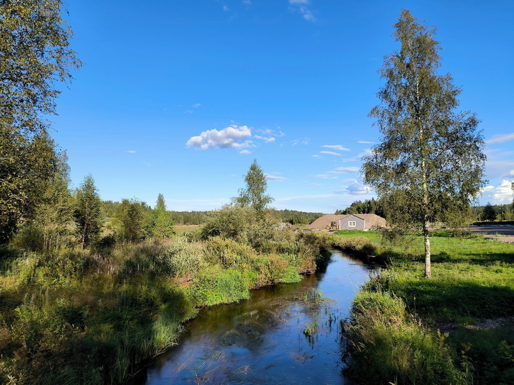 Россиянам рассказали, что нельзя делать 3 сентября