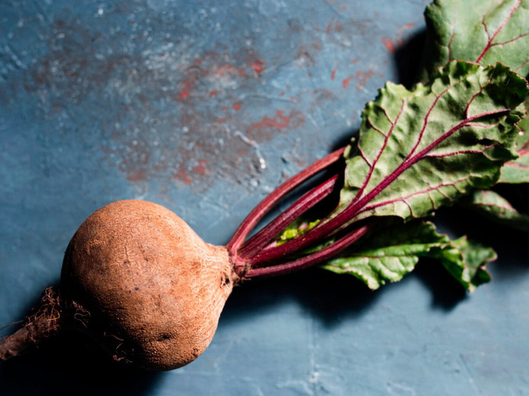 Липецкая область на сахарной волне