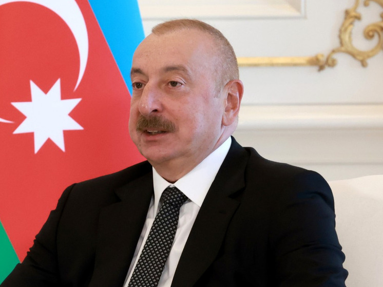 Эрдоган увидел в Алиеве надежду