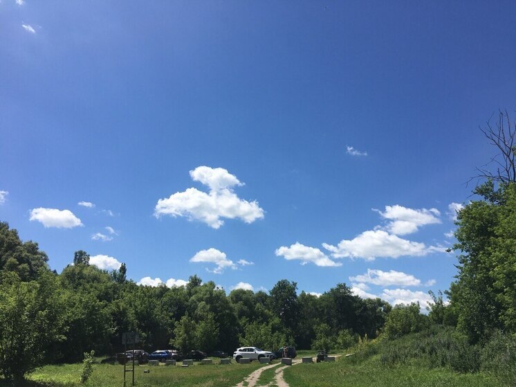 Жителей Воронежской области ждет ясная погода