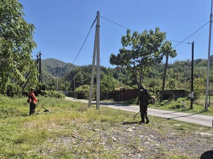 В Сочи продолжаются мероприятия по борьбе с амброзией