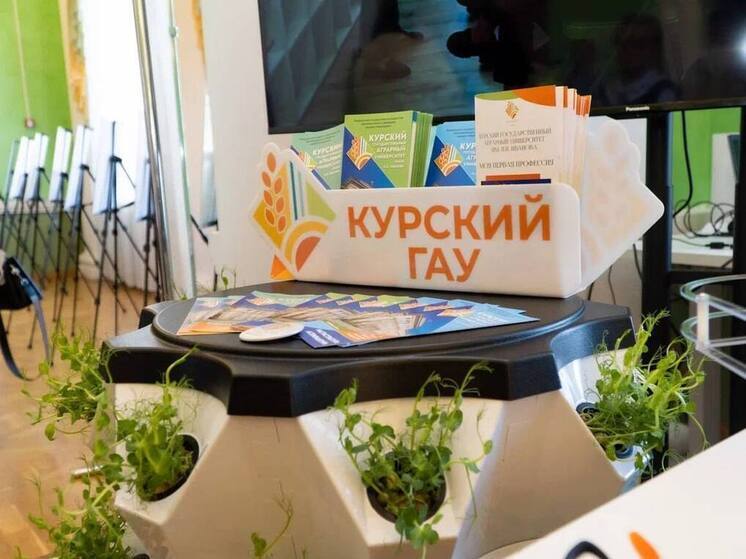 Курская область выиграла федеральный конкурс Минсельхоза РФ