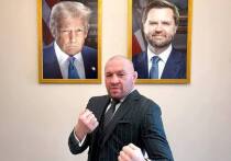 Звезда UFC планирует стать новым президентом Ирландии.