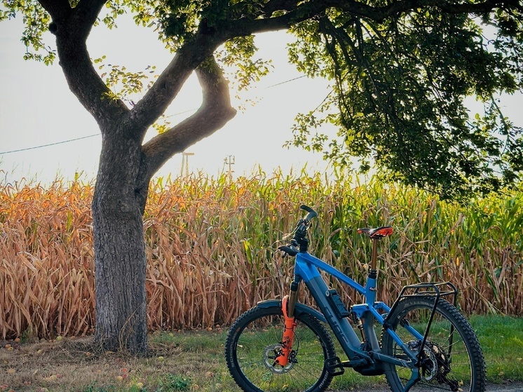 Кратковременные дожди и похолодание до +5°С: погода на 3 сентября