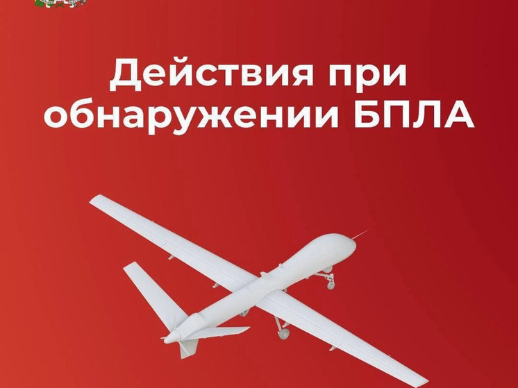 Над Смоленской областью сбит украинский БПЛА