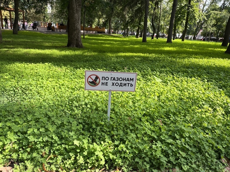 Жителей Саратовской области ждет теплая погода без осадков