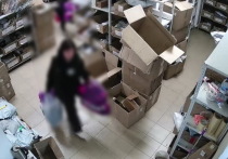 В Марий Эл перед судом предстанет 19-летняя менеджер пункта выдачи заказов за хищение товаров более чем на 100 тысяч рублей.