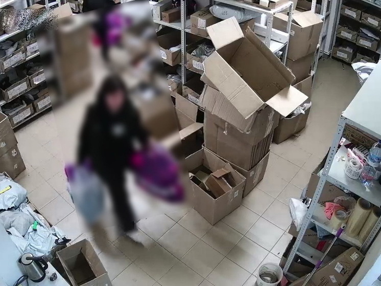Менеджер пункта выдачи заказов в Марий Эл обвиняется в краже товаров