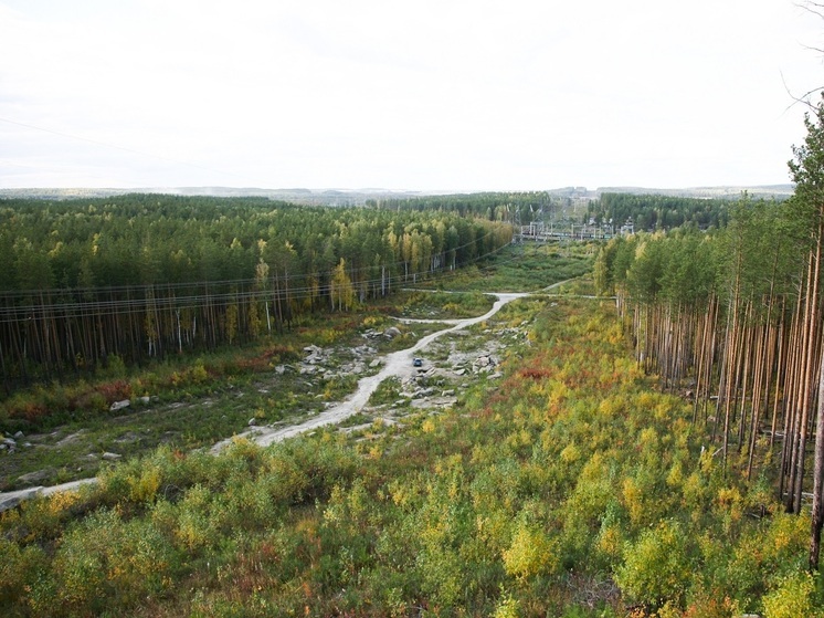 В Свердловской области падает активность клещей
