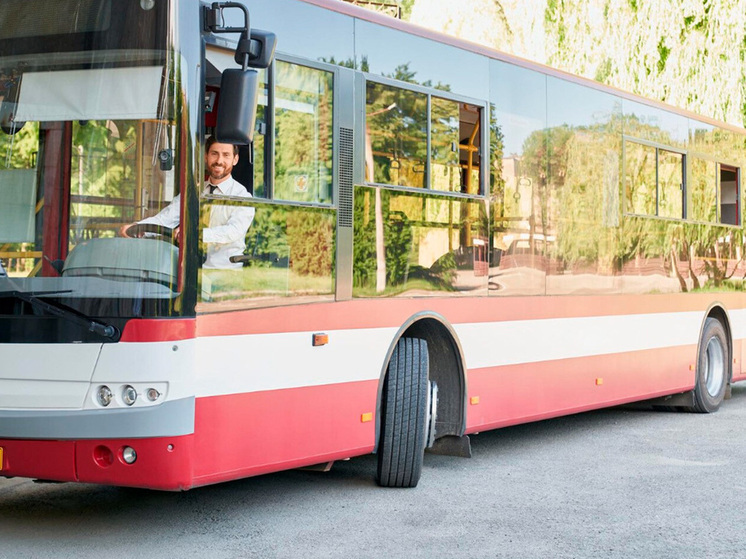 В Липецкой области столкновение автобуса и грузовика привело к госпитализации водителя