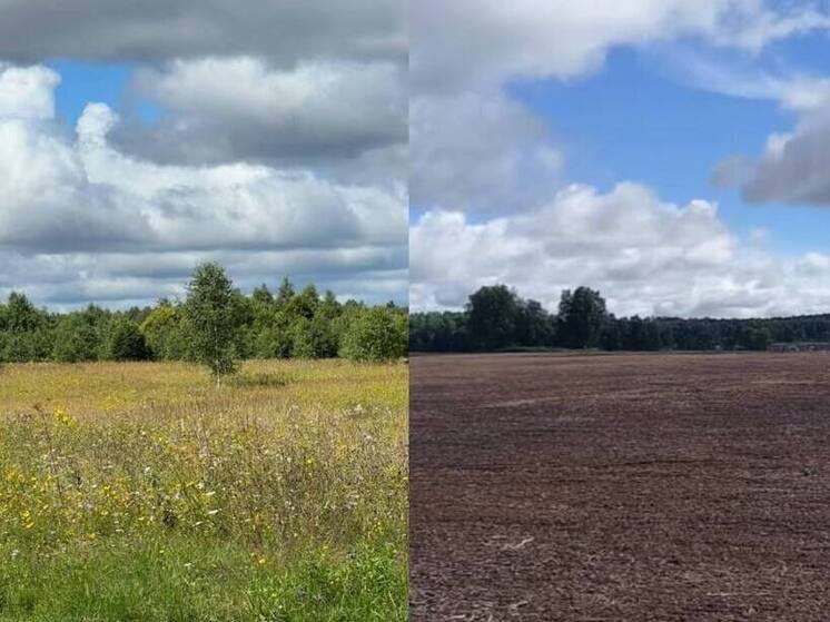 В Калужской области укрепляют аграрный потенциал